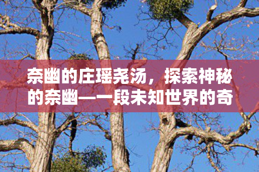 奈幽的庄瑶尧汤，探索神秘的奈幽—一段未知世界的奇幻之旅
