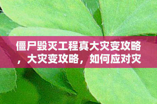 僵尸毁灭工程真大灾变攻略，大灾变攻略，如何应对灾难并重建家园