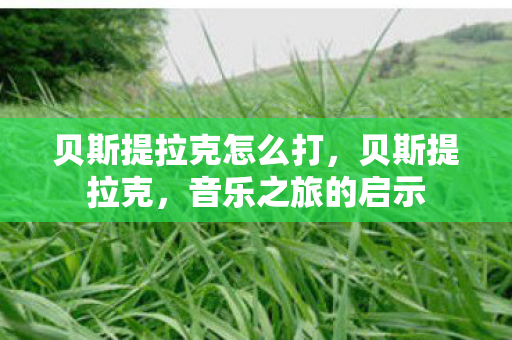 贝斯提拉克怎么打，贝斯提拉克，音乐之旅的启示