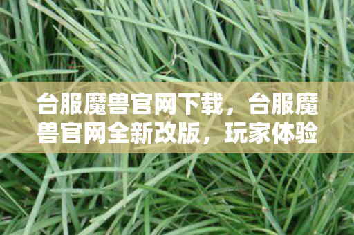 台服魔兽官网下载，台服魔兽官网全新改版，玩家体验再升级