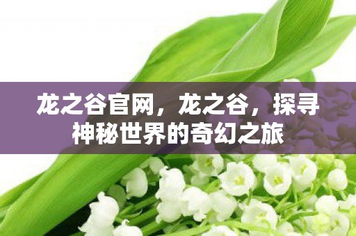 龙之谷官网，龙之谷，探寻神秘世界的奇幻之旅