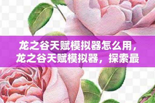 龙之谷天赋模拟器怎么用，龙之谷天赋模拟器，探索最佳天赋配置的秘密武器