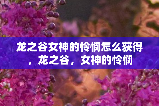 龙之谷女神的怜悯怎么获得，龙之谷，女神的怜悯