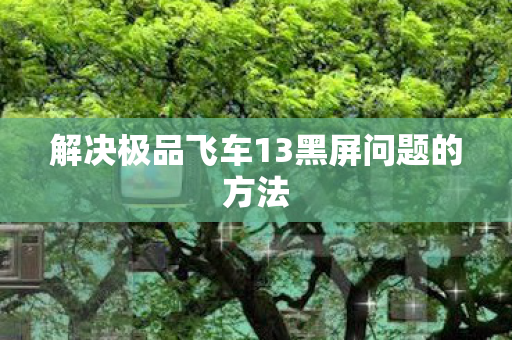 解决极品飞车13黑屏问题的方法
