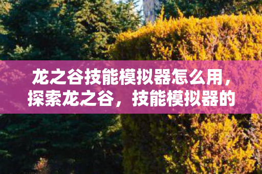 龙之谷技能模拟器怎么用,探索龙之谷,技能模拟器的魅力与挑战 龙之谷技能模拟器怎么用,探索龙之谷,技能模拟器的魅力与挑战