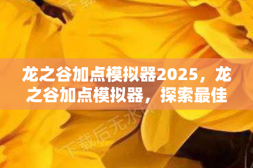 龙之谷加点模拟器2025，龙之谷加点模拟器，探索最佳技能配置，成为顶尖战士