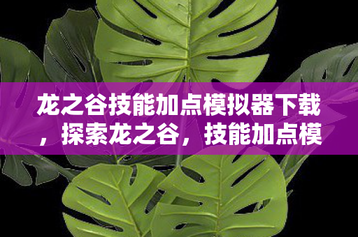龙之谷技能加点模拟器下载，探索龙之谷，技能加点模拟器的深度解析