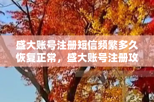 盛大账号注册短信频繁多久恢复正常，盛大账号注册攻略，轻松上手，畅游盛大世界！