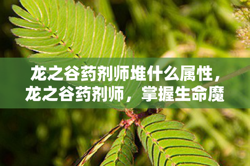 龙之谷药剂师堆什么属性，龙之谷药剂师，掌握生命魔法的神秘职业