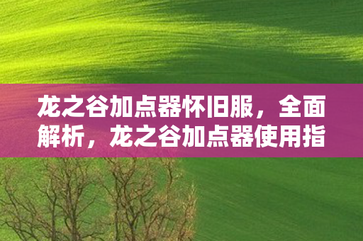 龙之谷加点器怀旧服，全面解析，龙之谷加点器使用指南