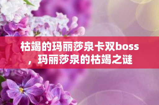 枯竭的玛丽莎泉卡双boss，玛丽莎泉的枯竭之谜