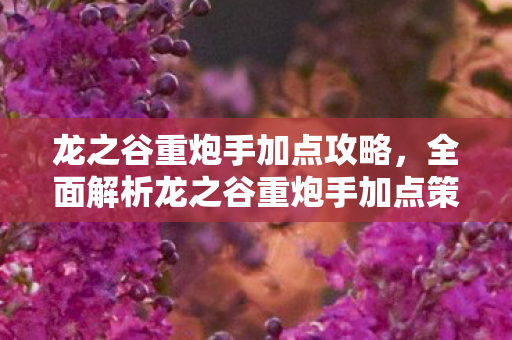 龙之谷重炮手加点攻略，全面解析龙之谷重炮手加点策略，掌握技能，成为顶尖高手！