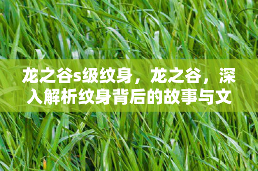 龙之谷s级纹身,龙之谷,深入解析纹身背后的故事与文化内涵 龙之谷s级纹身,龙之谷,深入解析纹身背后的故事与文化内涵