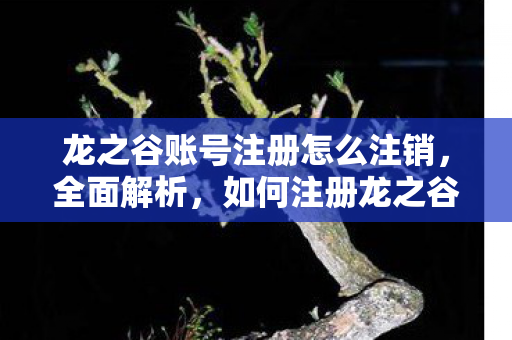 龙之谷账号注册怎么注销,全面解析,如何注册龙之谷账号,轻松开启游戏之旅 龙之谷账号注册怎么注销,全面解析,如何注册龙之谷账号,轻松开启游戏之旅