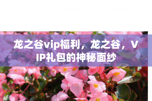 龙之谷vip福利，龙之谷，VIP礼包的神秘面纱