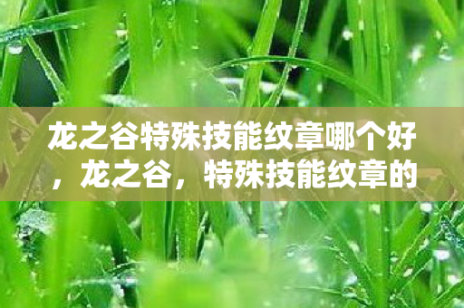 龙之谷特殊技能纹章哪个好，龙之谷，特殊技能纹章的奥秘