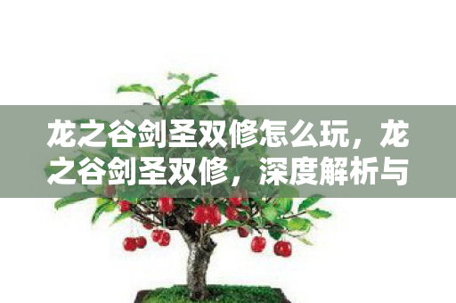 龙之谷剑圣双修怎么玩,龙之谷剑圣双修,深度解析与攻略指南 龙之谷剑圣双修怎么玩,龙之谷剑圣双修,深度解析与攻略指南