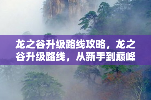 龙之谷升级路线攻略，龙之谷升级路线，从新手到巅峰的全面攻略