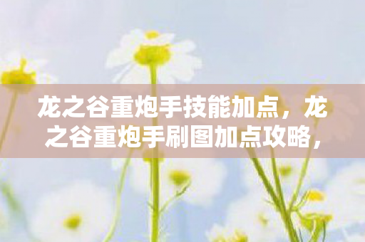 龙之谷重炮手技能加点，龙之谷重炮手刷图加点攻略，打造高效输出机器