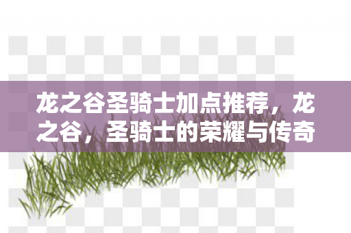 龙之谷圣骑士加点推荐，龙之谷，圣骑士的荣耀与传奇