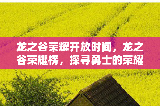龙之谷荣耀开放时间，龙之谷荣耀榜，探寻勇士的荣耀之路