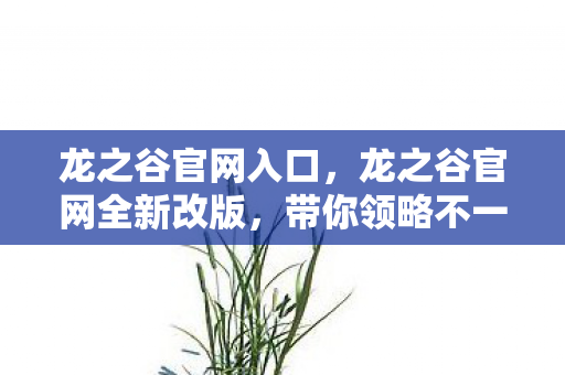 龙之谷官网入口，龙之谷官网全新改版，带你领略不一样的游戏世界
