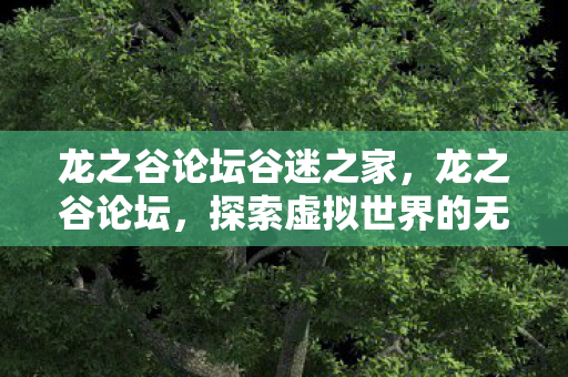 龙之谷论坛谷迷之家，龙之谷论坛，探索虚拟世界的无尽奥秘