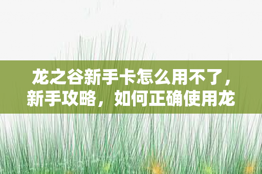 龙之谷新手卡怎么用不了,新手攻略,如何正确使用龙之谷新手卡 龙之谷新手卡怎么用不了,新手攻略,如何正确使用龙之谷新手卡