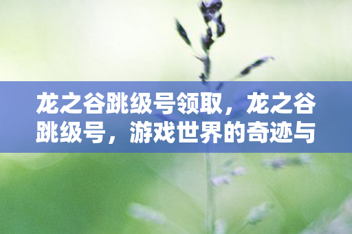 龙之谷跳级号领取，龙之谷跳级号，游戏世界的奇迹与挑战