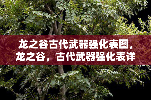龙之谷古代武器强化表图，龙之谷，古代武器强化表详解