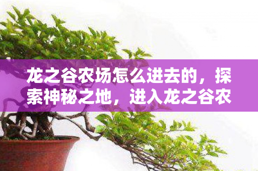 龙之谷农场怎么进去的，探索神秘之地，进入龙之谷农场的详细指南