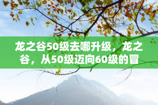 龙之谷50级去哪升级，龙之谷，从50级迈向60级的冒险之旅