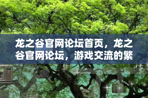 龙之谷官网论坛首页，龙之谷官网论坛，游戏交流的繁华胜地