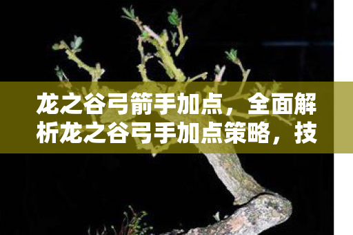 龙之谷弓箭手加点，全面解析龙之谷弓手加点策略，技能、属性与战术深度探讨
