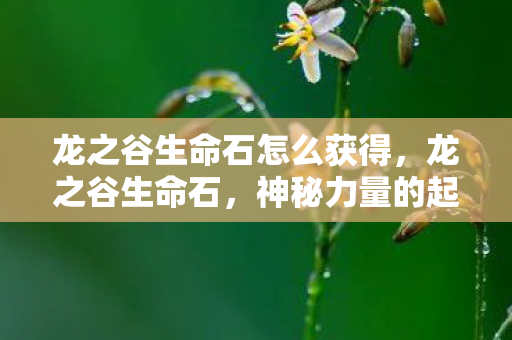 龙之谷生命石怎么获得，龙之谷生命石，神秘力量的起源与传说