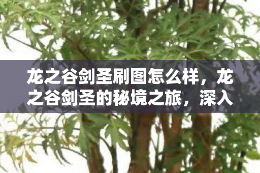 龙之谷剑圣刷图怎么样，龙之谷剑圣的秘境之旅，深入解析刷图攻略