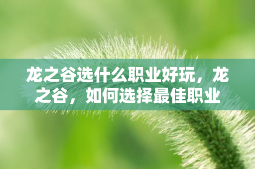 龙之谷选什么职业好玩，龙之谷，如何选择最佳职业