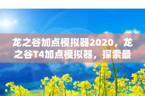 龙之谷加点模拟器2020，龙之谷T4加点模拟器，探索最佳属性分配策略