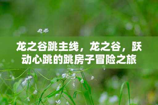 龙之谷跳主线,龙之谷,跃动心跳的跳房子冒险之旅 龙之谷跳主线,龙之谷,跃动心跳的跳房子冒险之旅