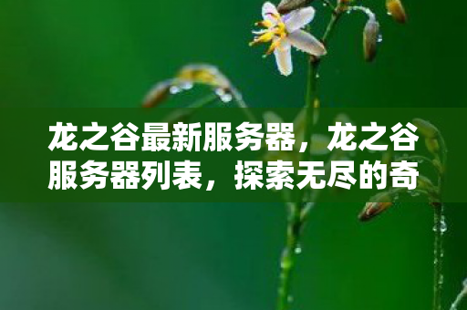 龙之谷最新服务器，龙之谷服务器列表，探索无尽的奇幻世界