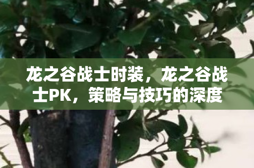 龙之谷战士时装,龙之谷战士PK,策略与技巧的深度解析 龙之谷战士时装,龙之谷战士PK,策略与技巧的深度解析
