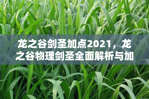 龙之谷剑圣加点2021,龙之谷物理剑圣全面解析与加点攻略 龙之谷剑圣加点2021,龙之谷物理剑圣全面解析与加点攻略