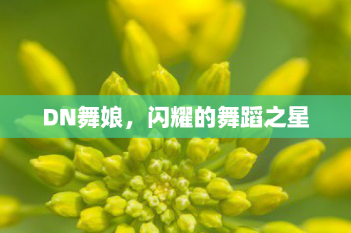 DN舞娘,闪耀的舞蹈之星 DN舞娘,闪耀的舞蹈之星