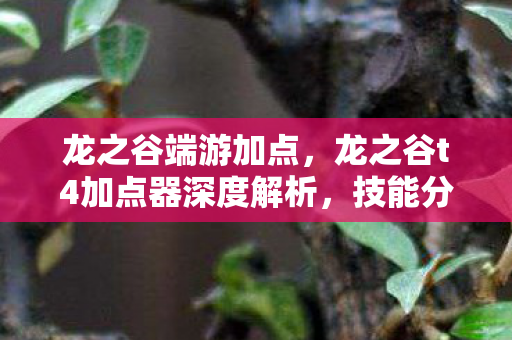 龙之谷端游加点，龙之谷t4加点器深度解析，技能分配与角色优化指南