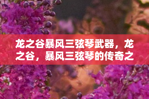 龙之谷暴风三弦琴武器，龙之谷，暴风三弦琴的传奇之旅