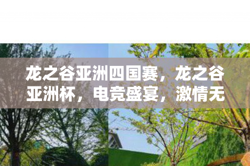 龙之谷亚洲四国赛,龙之谷亚洲杯,电竞盛宴,激情无限 龙之谷亚洲四国赛,龙之谷亚洲杯,电竞盛宴,激情无限