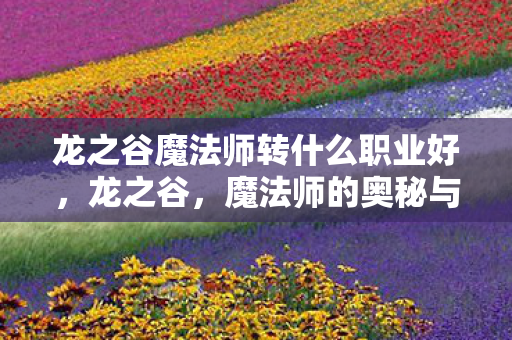 龙之谷魔法师转什么职业好，龙之谷，魔法师的奥秘与力量