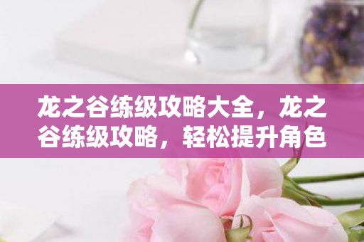 龙之谷练级攻略大全，龙之谷练级攻略，轻松提升角色等级