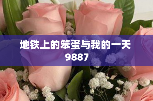 地铁上的笨蛋与我的一天 9887