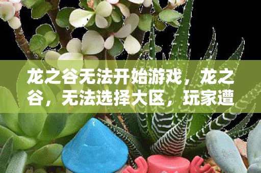 龙之谷无法开始游戏，龙之谷，无法选择大区，玩家遭遇的困境与解决方案